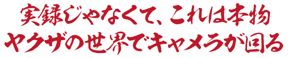 実録じゃなくて、これは本物　ヤクザの世界でキャメラが回る