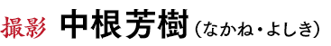 撮影◆中根芳樹（なかね・よしき）